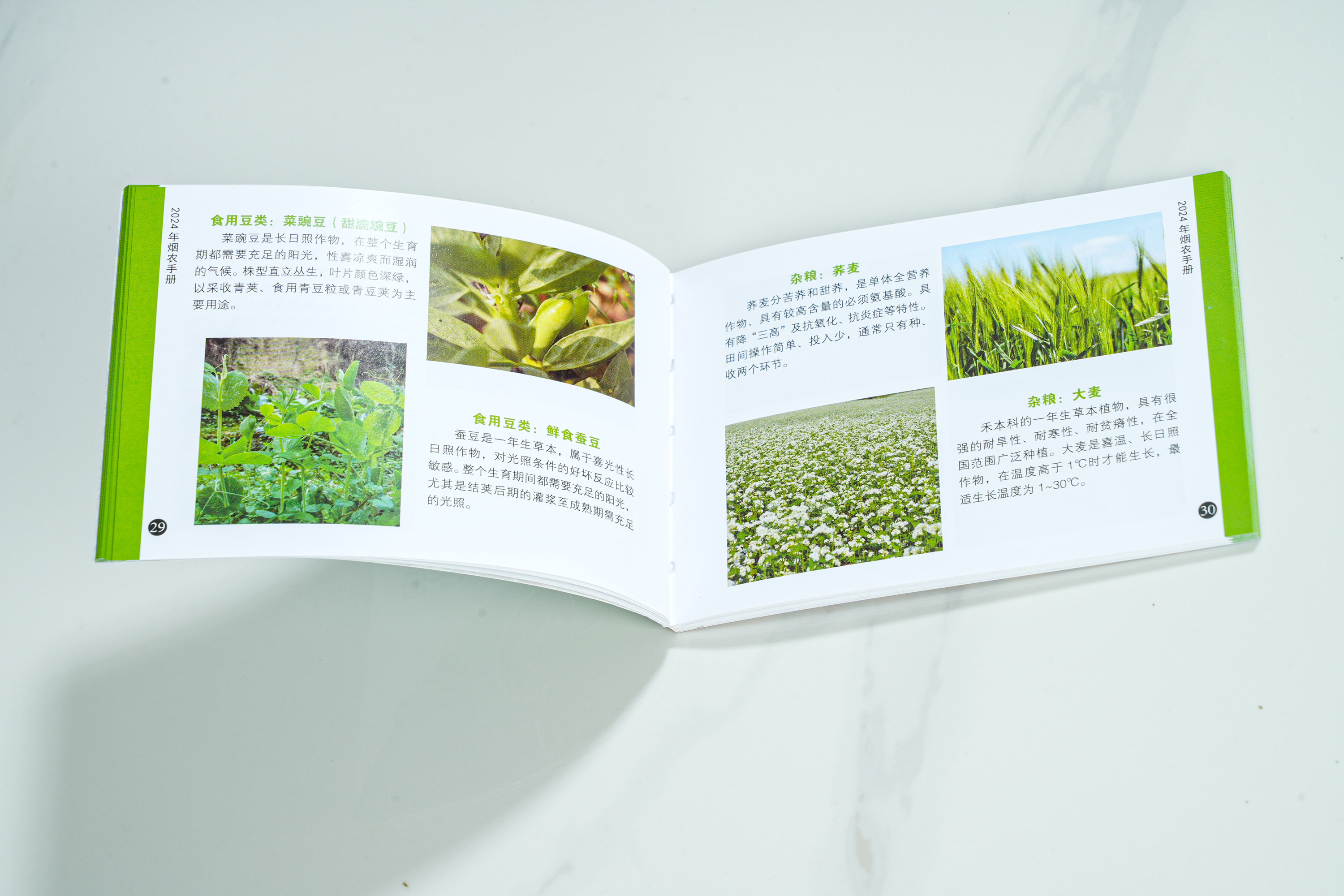 宣傳畫冊印刷知識